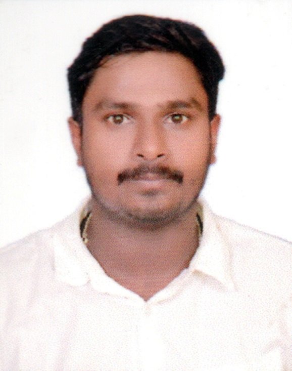 Bheemu D Nelogi